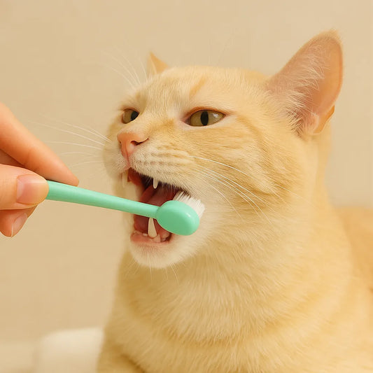 Brosse à dents pour chat
