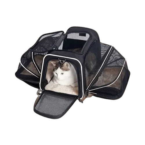 Sac Transport Chat Extensible