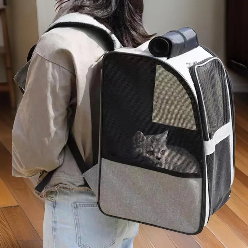 Sac de Transport pour Chat Maine Coon