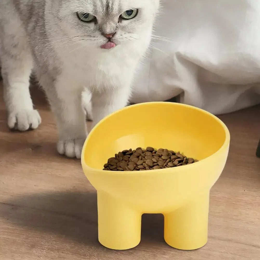 Gamelle pour chat surélevé 4