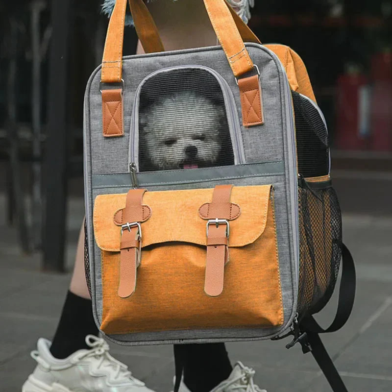 Sac de Transport Chat ou Petit Chien