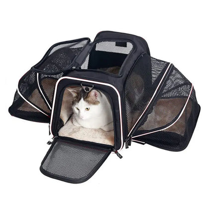 Sac de Transport Pliable pour Chat