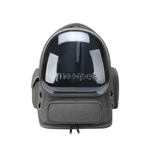 Sac Transport Chat Design