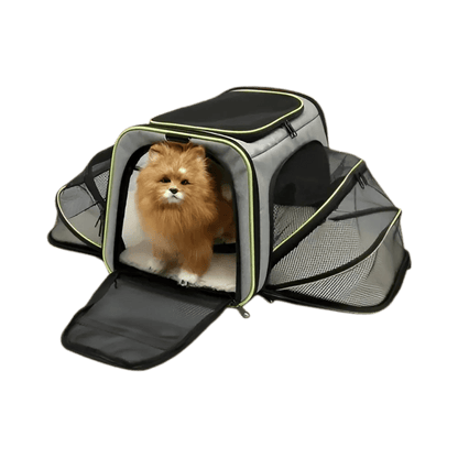 Sac Transport Chat Extensible